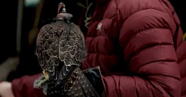 Falconry Told Podcast