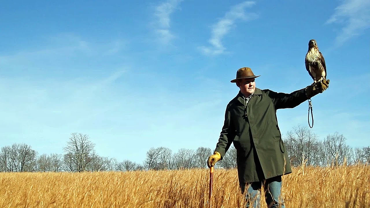 A Short Red-tailed Outing With Cody