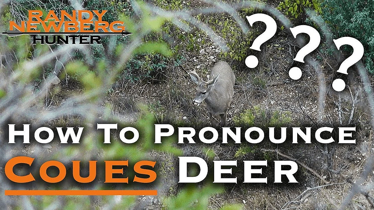 How To Pronounce Coues Deer (a Brief History)