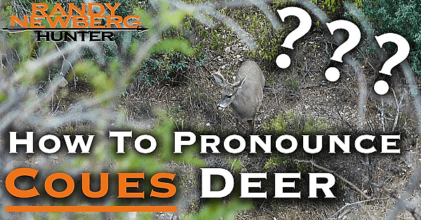 How To Pronounce Coues Deer (a Brief History)