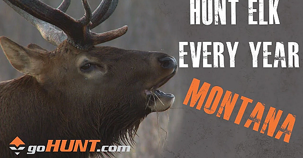 Hunt Elk Every Year: Montana And The Gohunt Insider