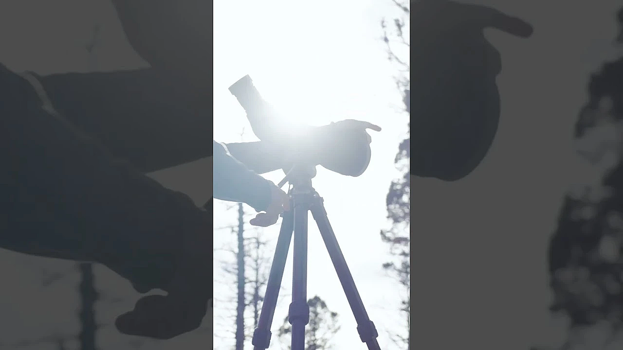 You Never Know What Will Happen On The Elk Rifle Opener!