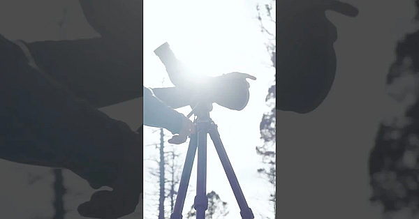 You Never Know What Will Happen On The Elk Rifle Opener!