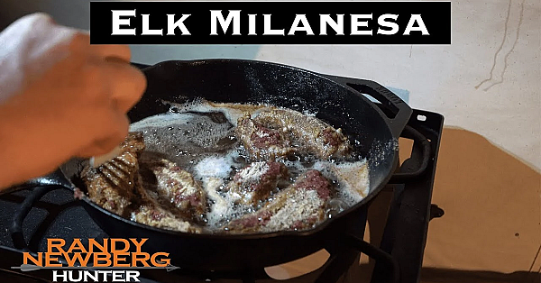 How To Cook Elk Milanesa: Tasty Wild Game Recipe