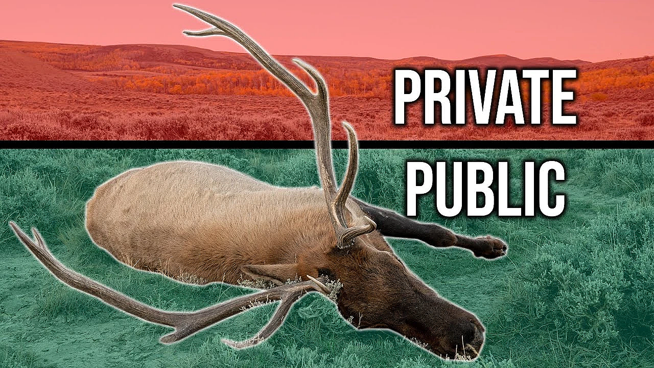 The Best Public Land Hunters Know This!