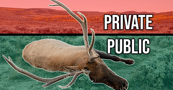 The Best Public Land Hunters Know This!