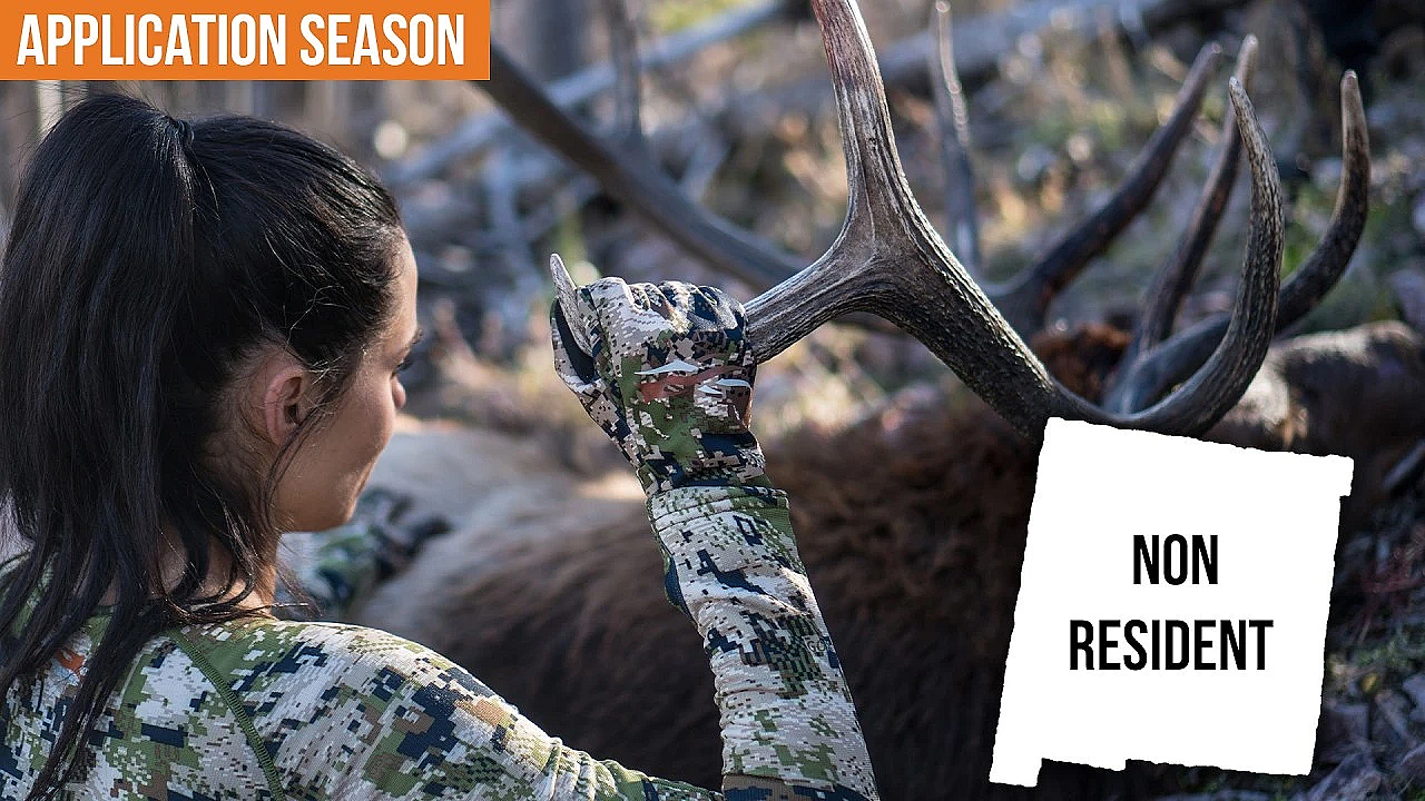 How To Apply For New Mexico Big Game Tags As A Non Resident