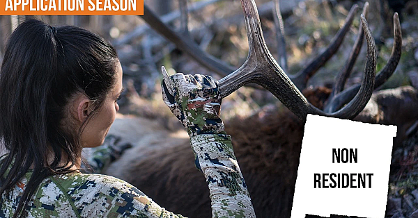 How To Apply For New Mexico Big Game Tags As A Non Resident