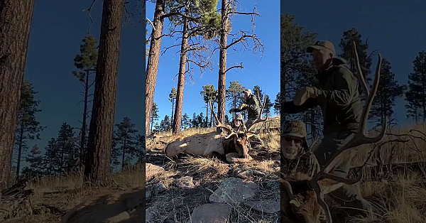 Who Is Pumped For Elk Season!