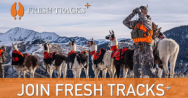 The Launch Of Fresh Tracks+