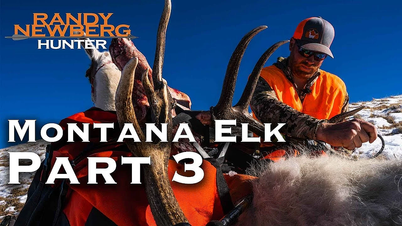 2018 Montana General Elk Hunt With Randy Newberg (part 3)