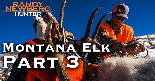 2018 Montana General Elk Hunt With Randy Newberg (part 3)
