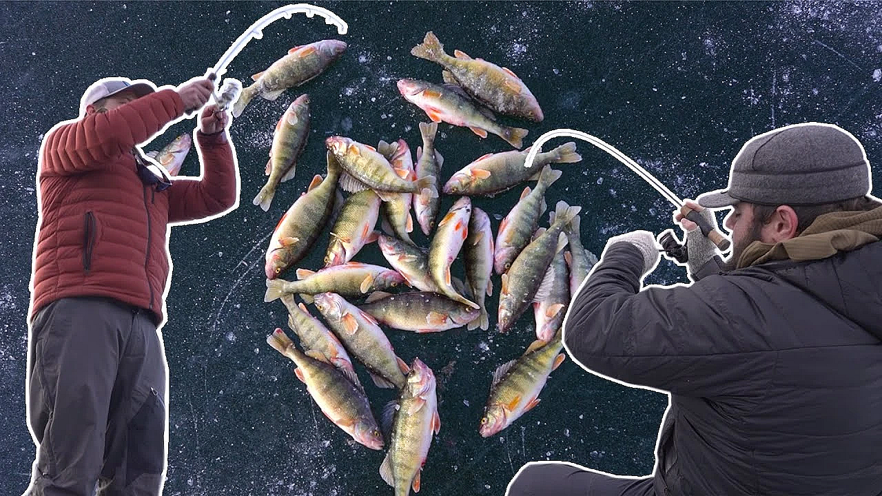 Nonstop Perch Action - Randys First Fish Taco