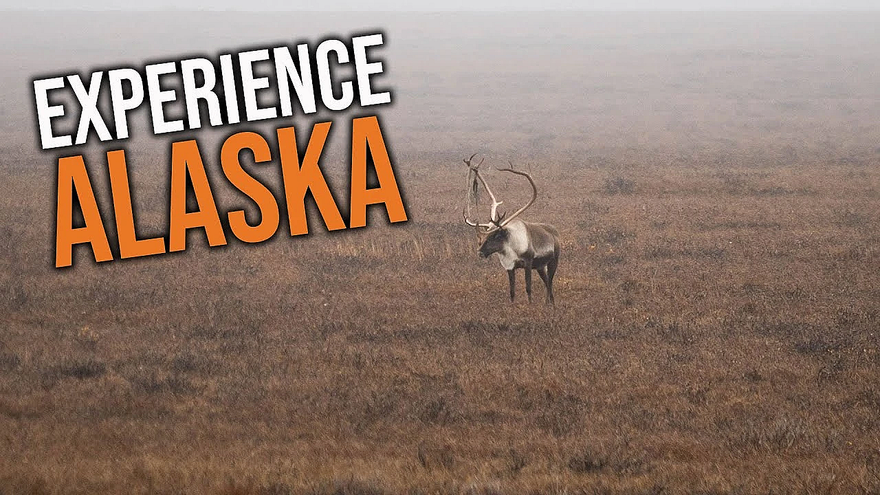 Things You Need To Know Before Applying In Alaska