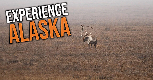 Things You Need To Know Before Applying In Alaska