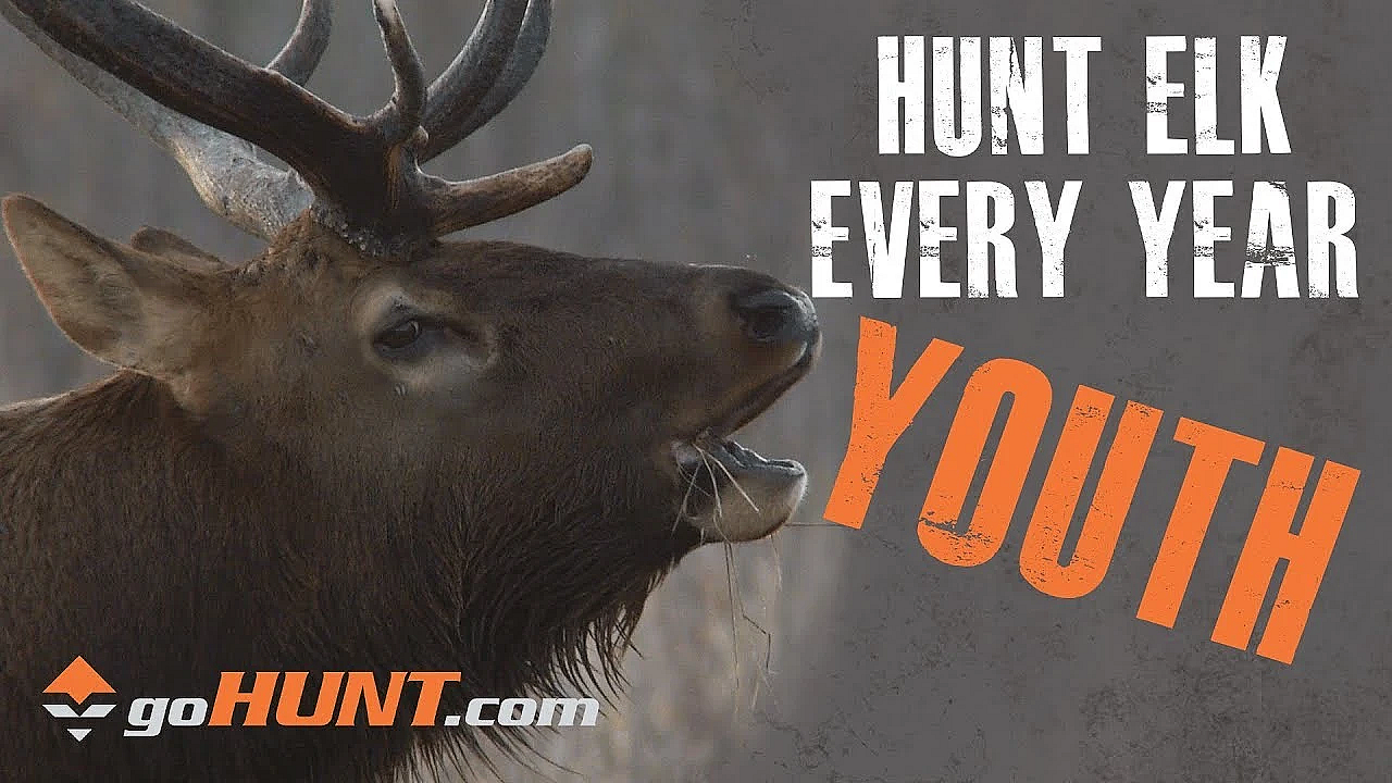 Hunt Elk Every Year: Youth Opportunities And The Gohunt Insider
