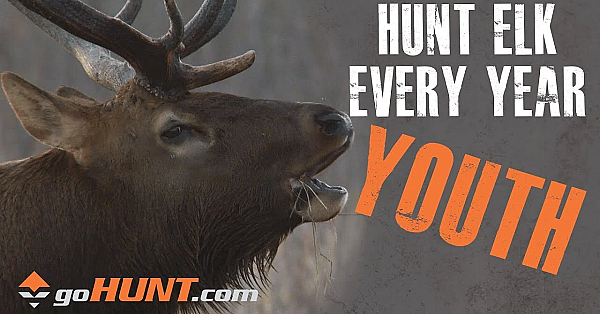 Hunt Elk Every Year: Youth Opportunities And The Gohunt Insider