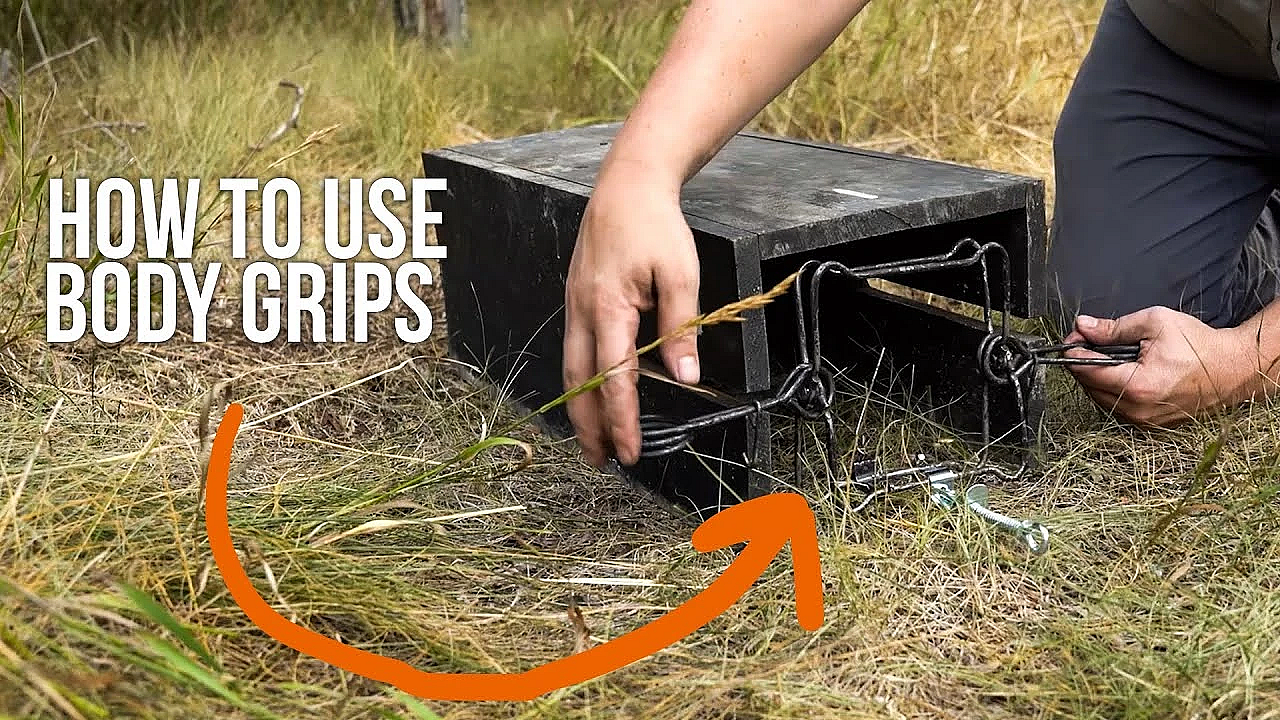 How To Set Body Grips For Trapping On Land!