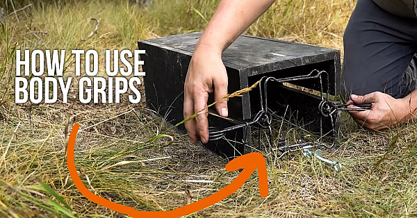 How To Set Body Grips For Trapping On Land!