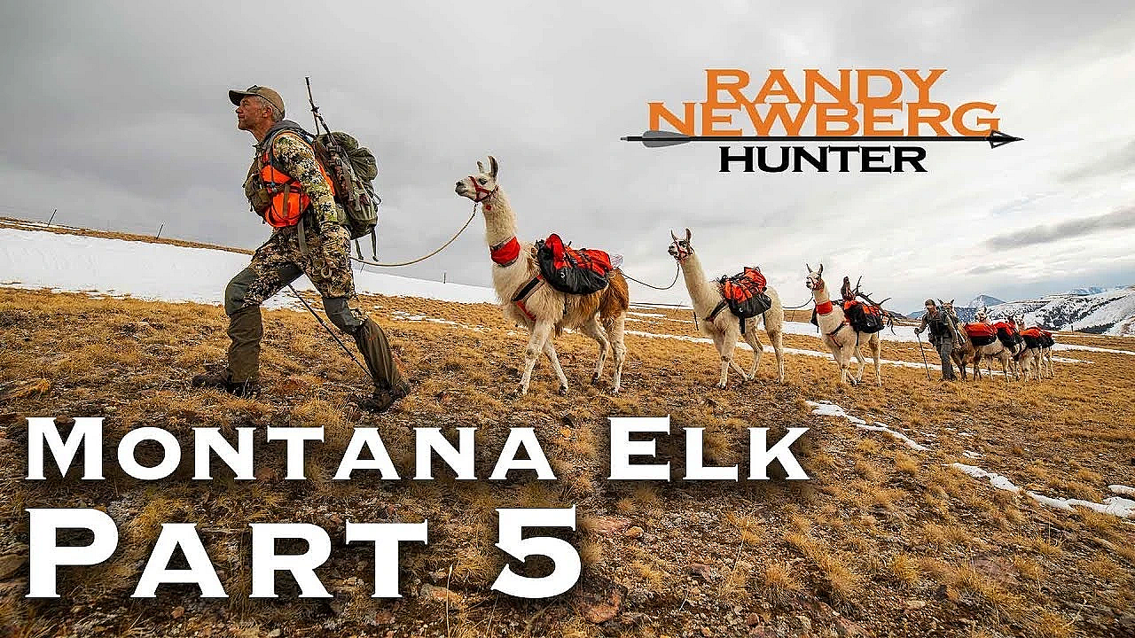 2018 Montana General Elk Hunt With Randy Newberg (part 5)