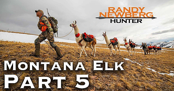 2018 Montana General Elk Hunt With Randy Newberg (part 5)