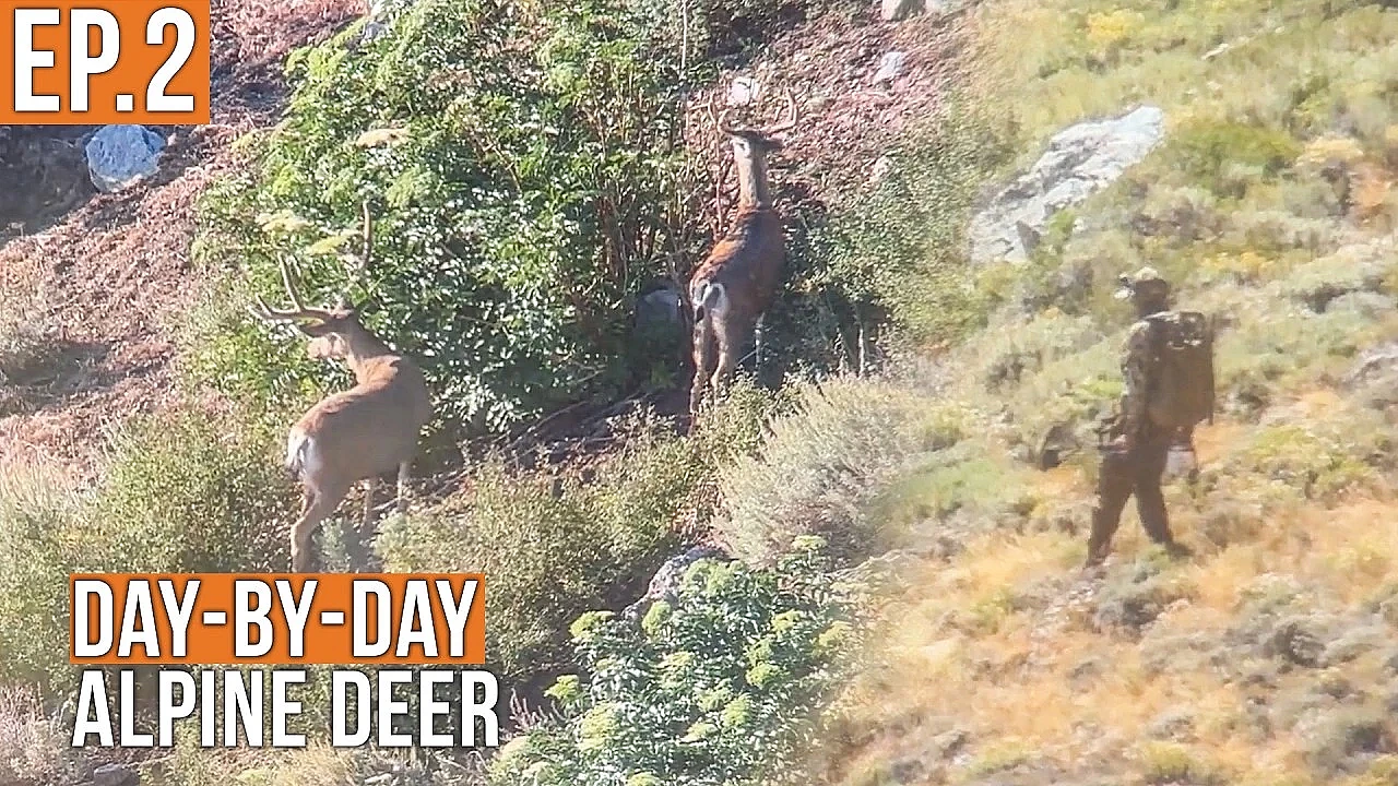 The Stalk is ON | Alpine Deer (EP.2)