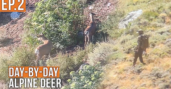 The Stalk is ON | Alpine Deer (EP.2)