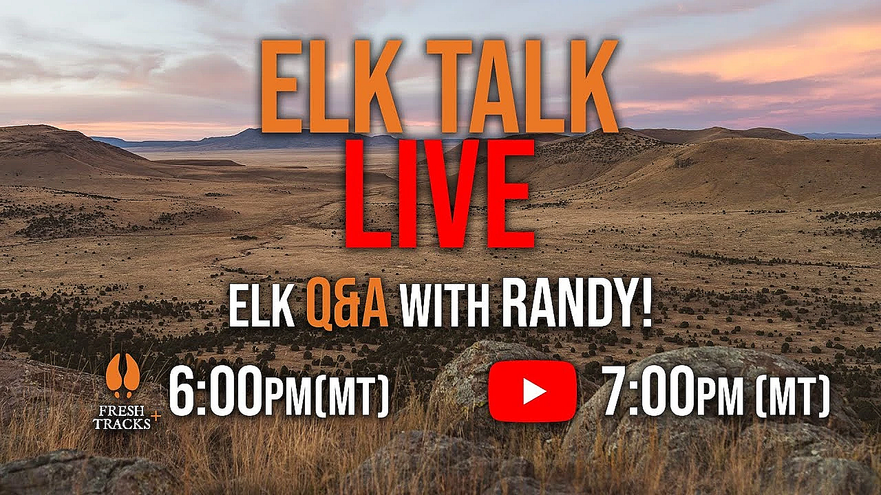 Elk Talk Live! // Ep 116