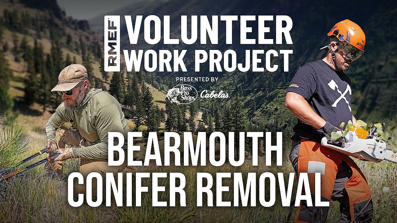 Trading Rifles for Chainsaws to Help Elk