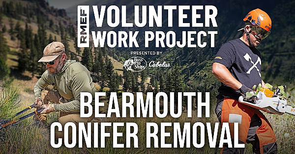 Trading Rifles for Chainsaws to Help Elk