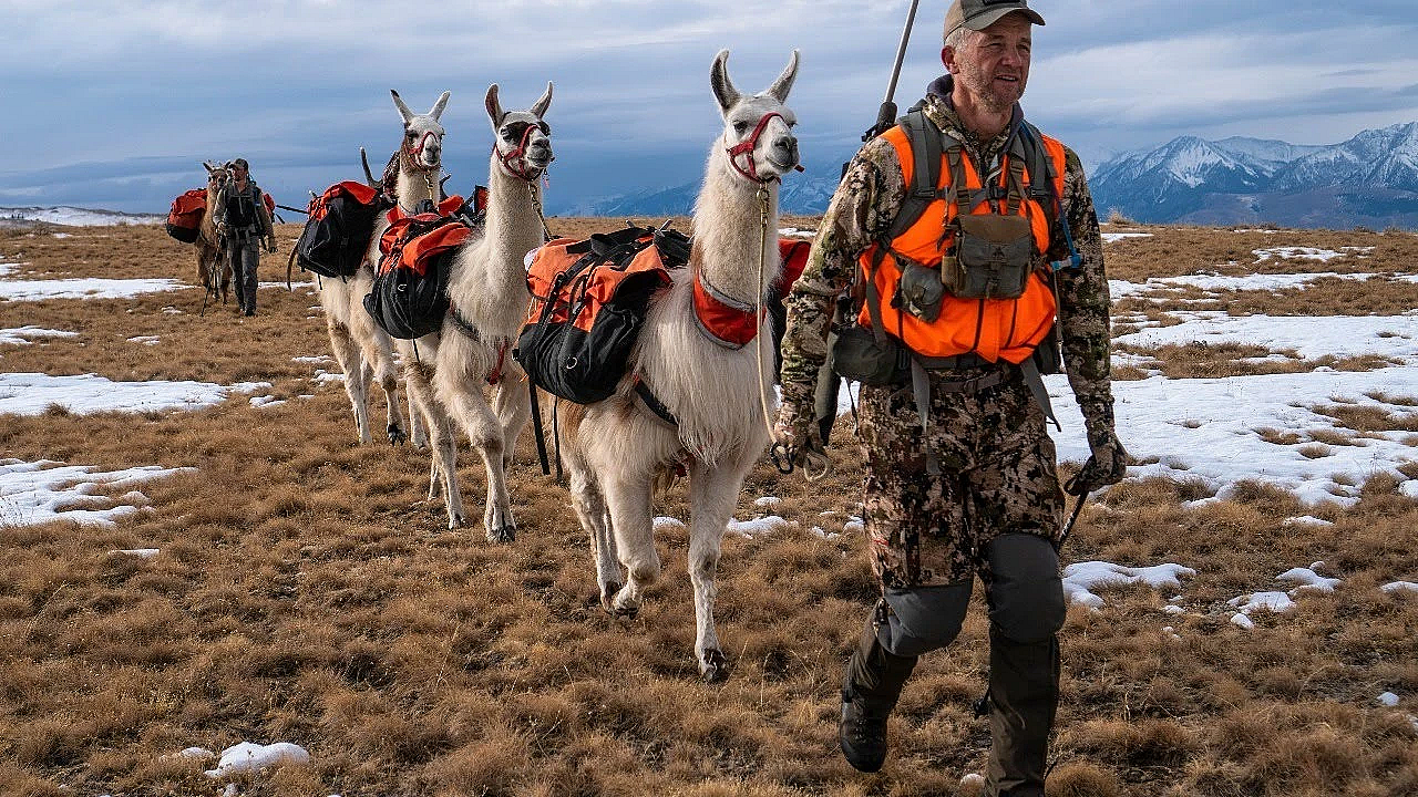 Elk Talk Live! // Ep 95