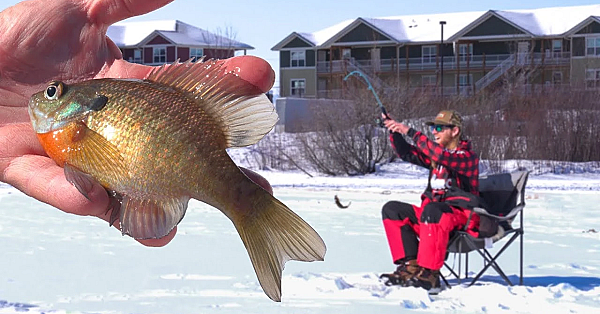 City Limits Ice Fishing Competition