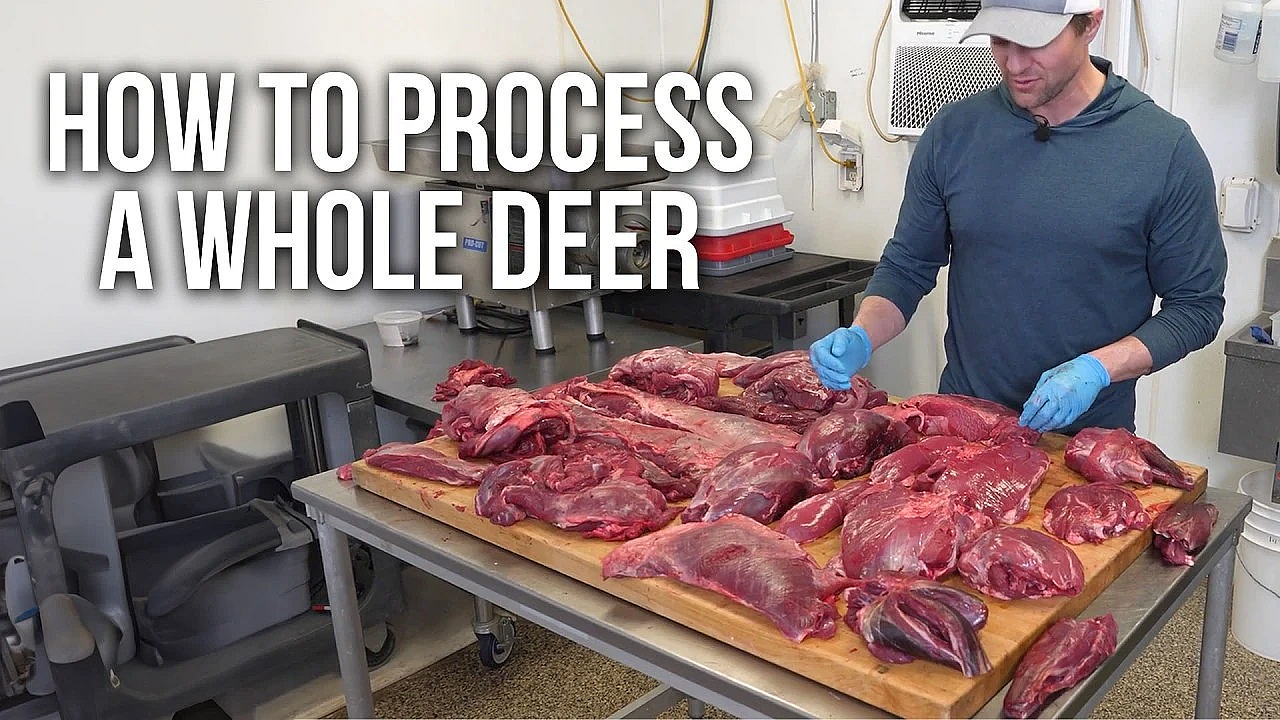 Step-by-step Guide To Processing Your Deer