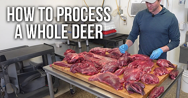 Step-by-step Guide To Processing Your Deer