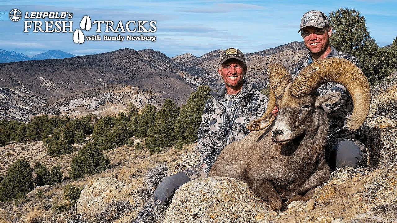 2017 Nevada Desert Bighorn Sheep With Randy Newberg And Mike Spitzer (amazon Version)
