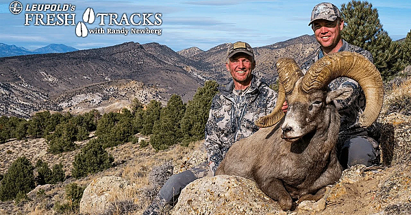 2017 Nevada Desert Bighorn Sheep With Randy Newberg And Mike Spitzer (amazon Version)