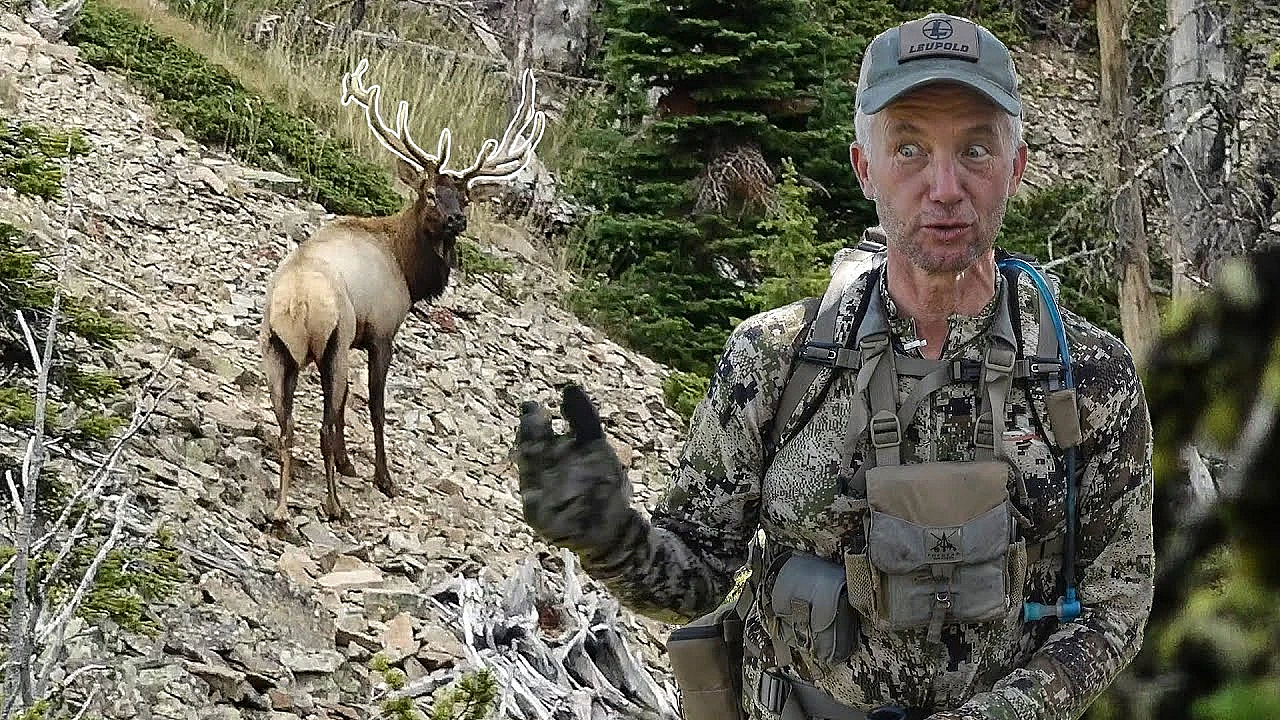 Lessons Learned: A Gamble Gone Wrong (montana Archery Elk)