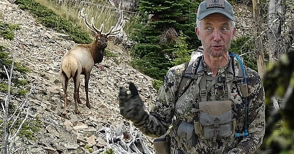 Lessons Learned: A Gamble Gone Wrong (montana Archery Elk)