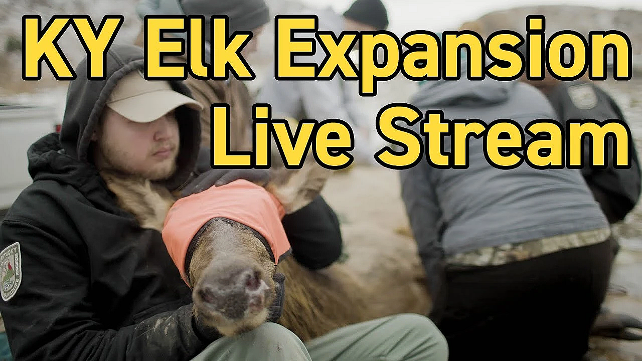 Rmef Kentucky Elk Expansion Discussion