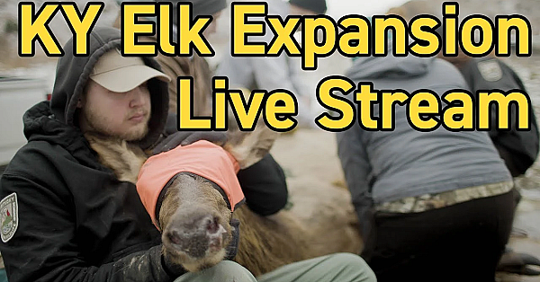 Rmef Kentucky Elk Expansion Discussion