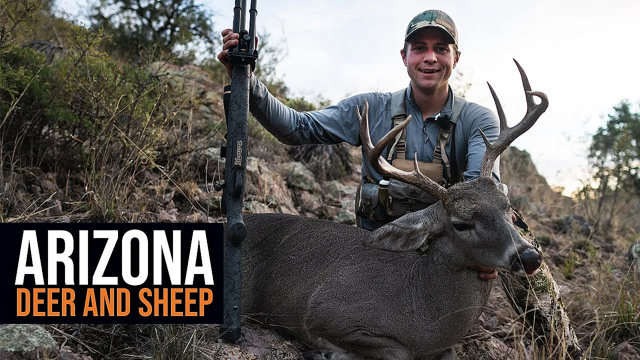 2022 Arizona Deer &amp; Sheep Application Strategy (how To)