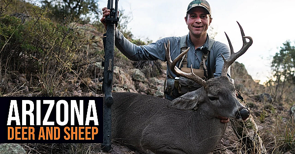 2022 Arizona Deer &amp; Sheep Application Strategy (how To)