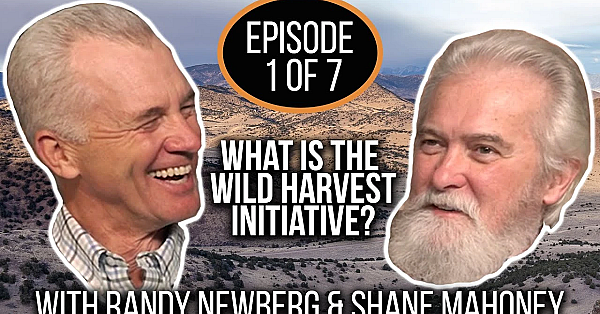 Is Wild Harvest The New Alternative Meat? Wild Harvest Initiative With Shane Mahoney (ep. 1 Of 7)