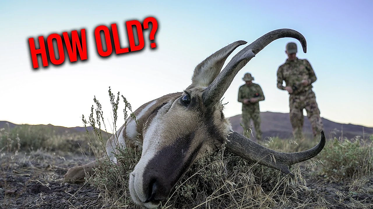 Guess The Age! Win A Prize!