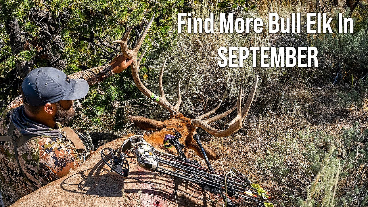 How To Find Bull Elk In September!