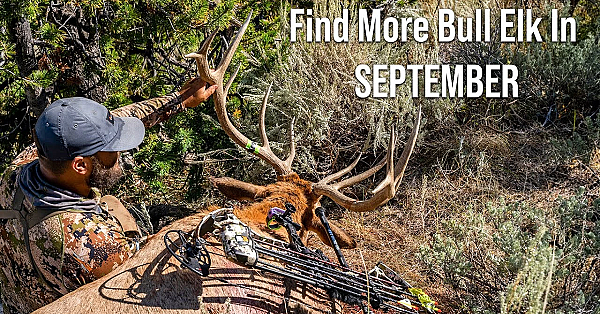 How To Find Bull Elk In September!