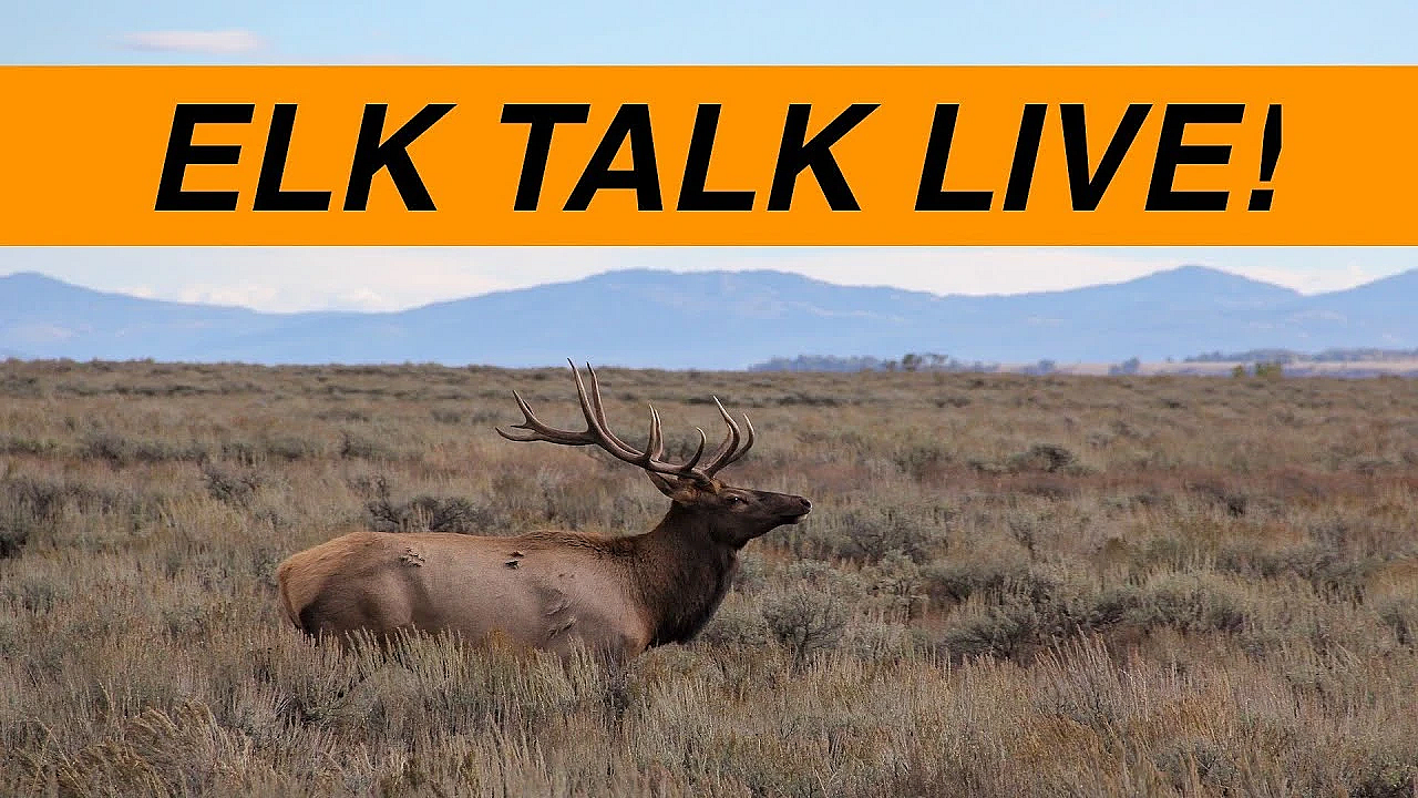 Elk Talk Live! // Ep. 102