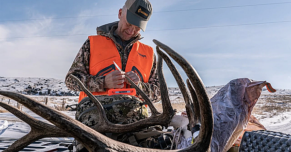 The Ultimate Elk Hunter's Knife