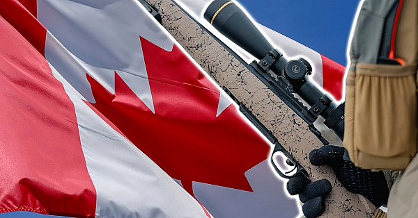 Crossing The Canadian Border With Hunting Rifles