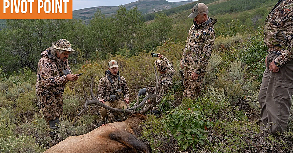 Big Idaho Bull - Pivot Point